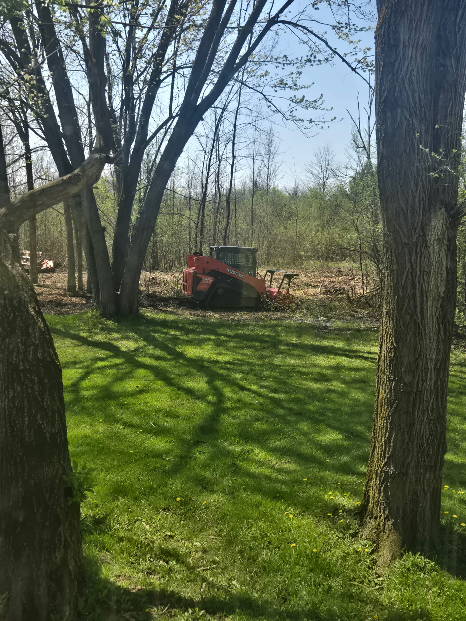 Brush removal
